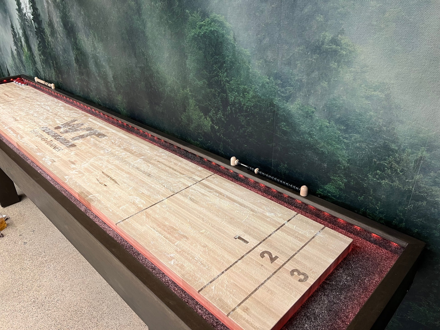 Shuffleboard Surface Customization
