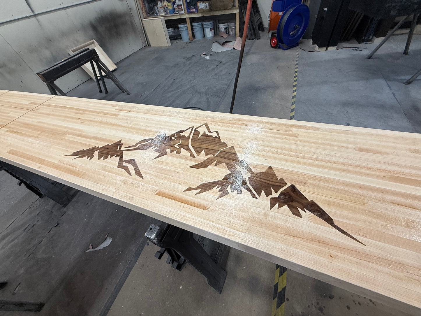Shuffleboard Surface Customization